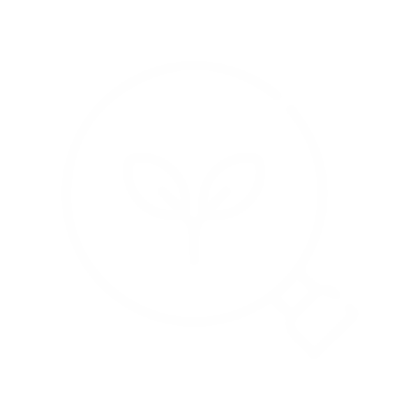 Dr scalp icon-05