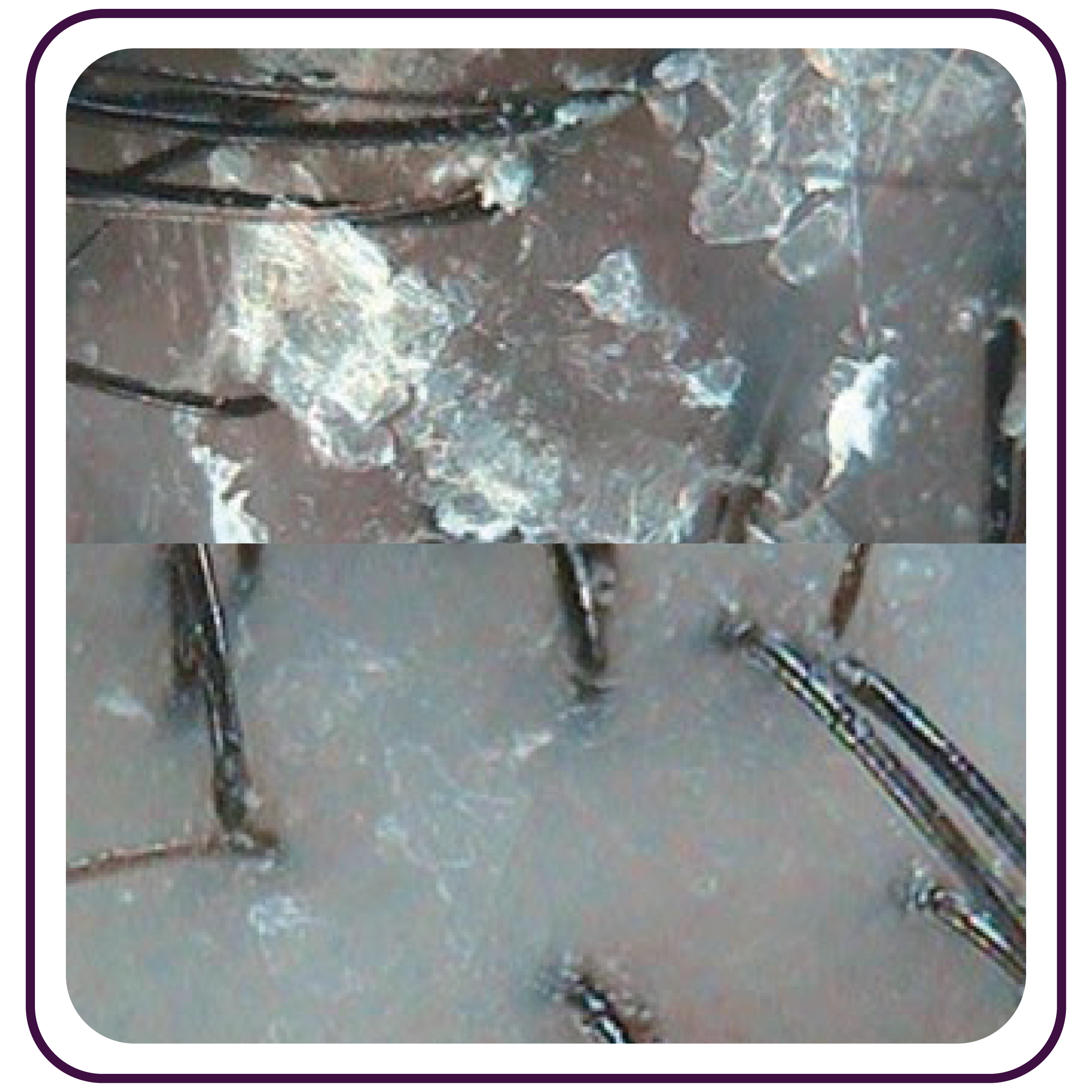 Home Dr.Scalpt_B&A-04-min