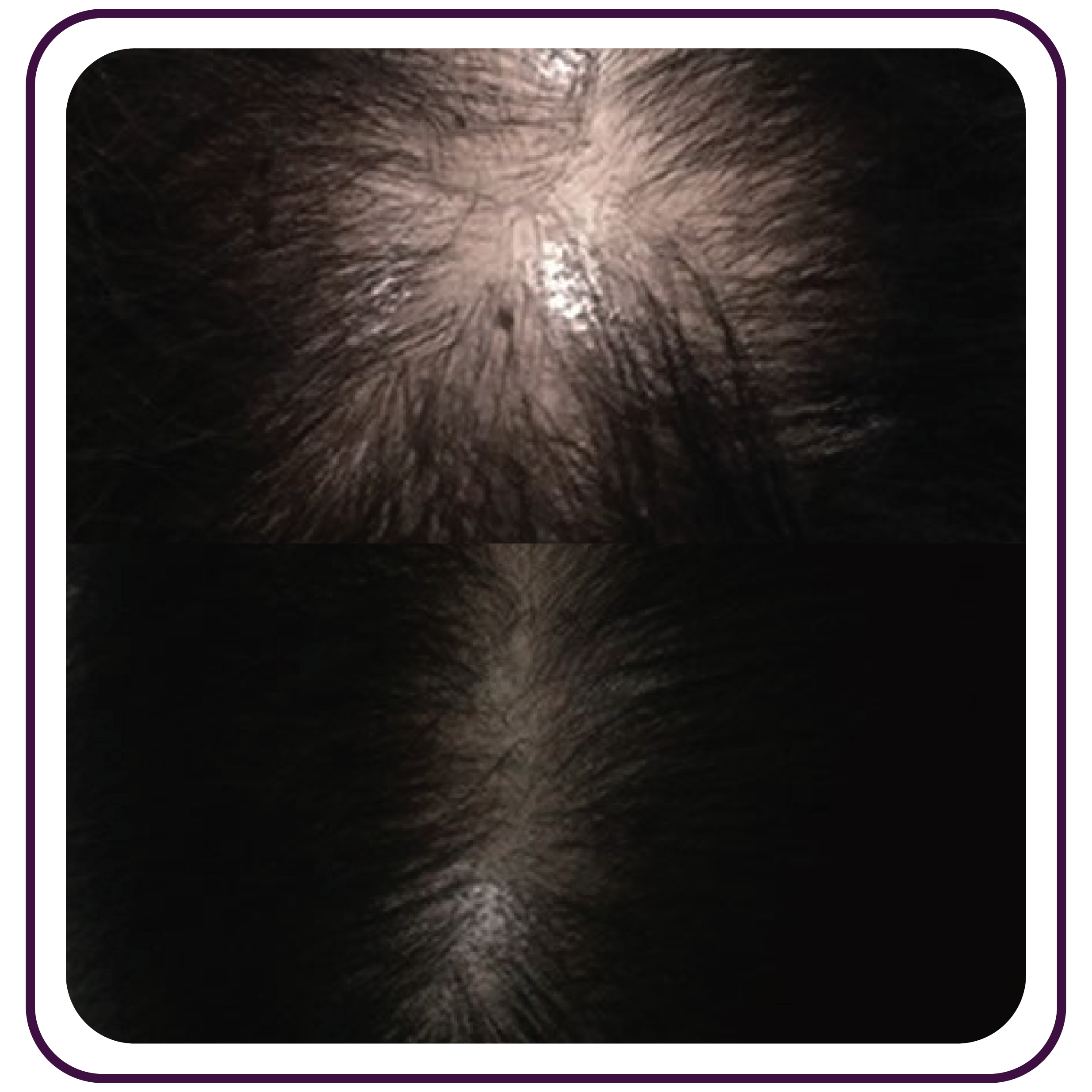 Home Dr.Scalpt_B&A-10-min